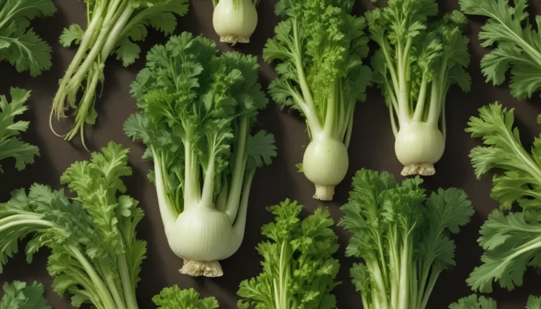 A Comprehensive Guide to the Best Celery Cultivars for Your Garden