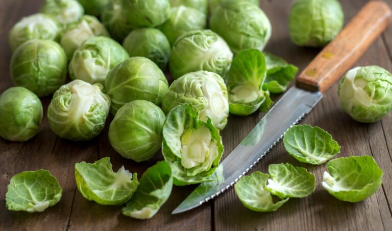 Complete Guide to Successfully Growing Brussels Sprouts in Winter