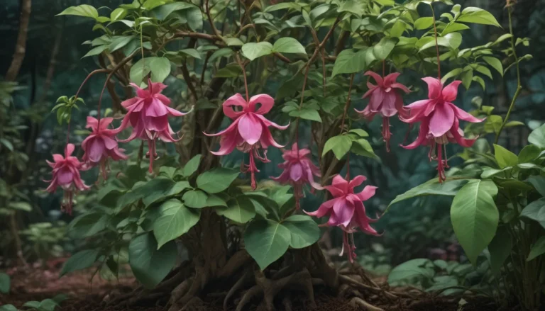 A Comprehensive Guide to Propagating Fuchsia Plants from Stem Cuttings