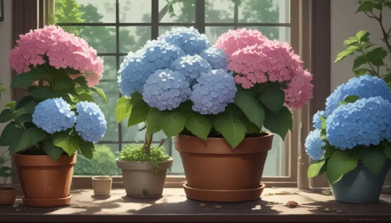 The Ultimate Guide to Growing Hydrangea Flowers in Containers