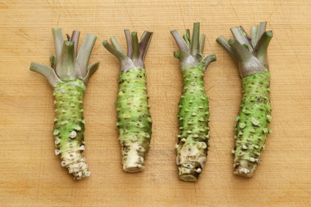 Wasabi (Japanese horseradish)