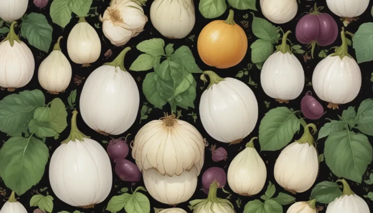 A Comprehensive Guide to the Best White Eggplant Varieties for Your Garden